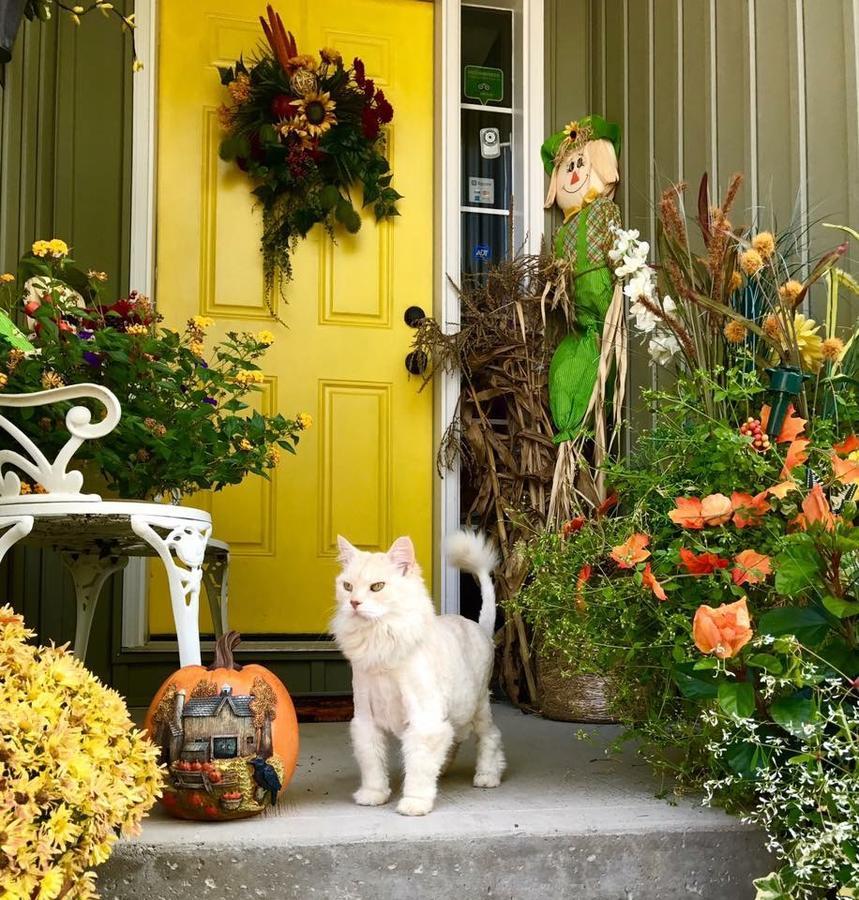 Yellow Door Bed And Breakfast Форт-Эри Экстерьер фото