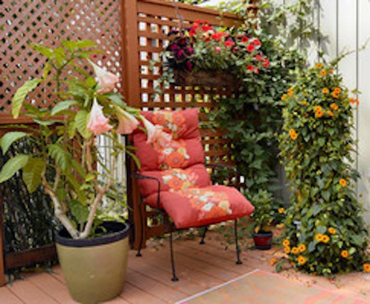 Yellow Door Bed And Breakfast Форт-Эри Экстерьер фото
